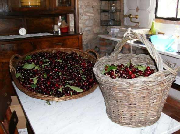 Cascina La Buca Pension Castello di Serravalle Buitenkant foto